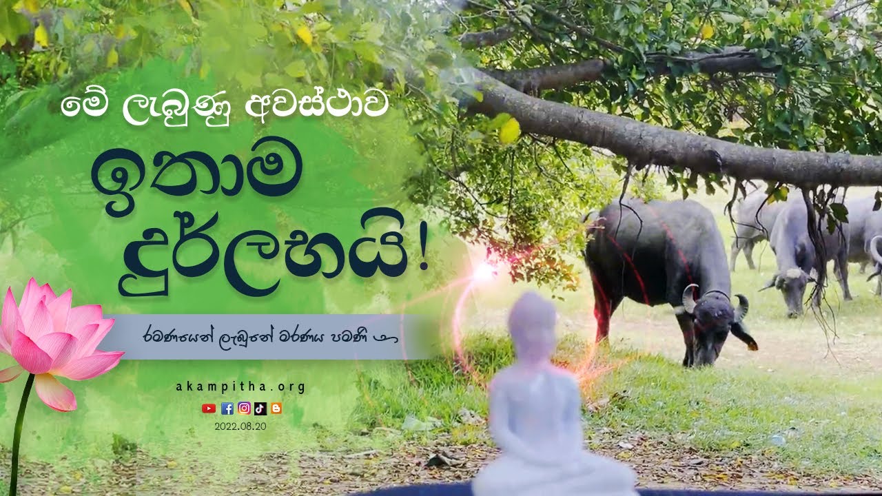 මාරයත් එක්ක මොන ගිවිසුම් ද ? 💀 | 2022.08.20 | දම් විමසුම | අකම්පිත