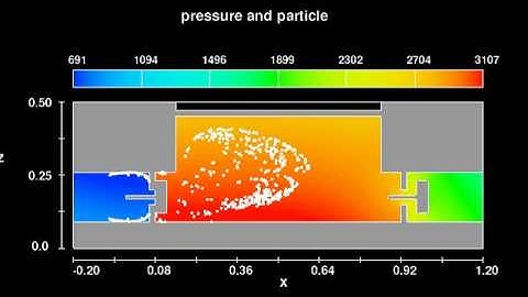 Piston Pump - Fluid Structure Interaction Simulation