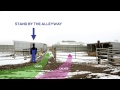 Efficient and Novel Method for Sorting Cow-Calf Pairs