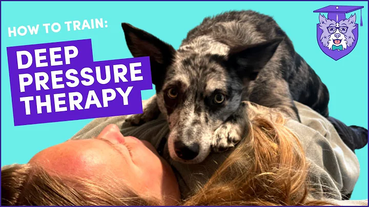 Train DEEP PRESSURE THERAPY (DPT): Service Dog Task for Anxiety, ADHD, ASD, PTSD & more - DayDayNews