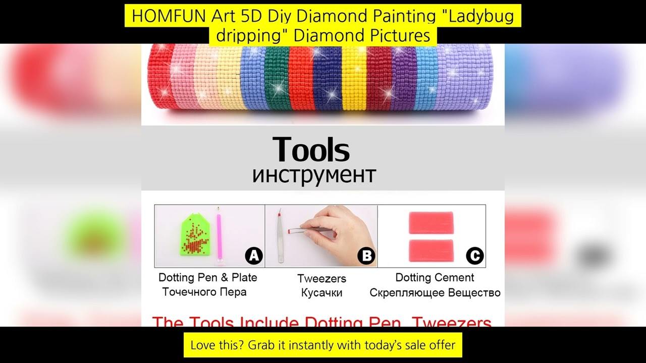 Homfun Art 5D Diy Diamond Painting "Ladybug Dripping" Diamond Pictures Cross