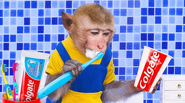 Baby Monkey Chu Chu Rescues a Stuck Duckling and Eats Ice Cream with Duck the Garden