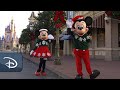 Holiday Magic is Coming to Walt Disney World Resort Starting Nov. 6