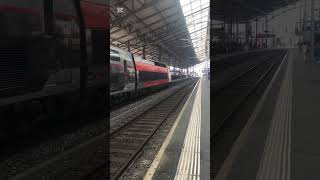 TGV Liria #train #suisse #trainspotting #bls #cff