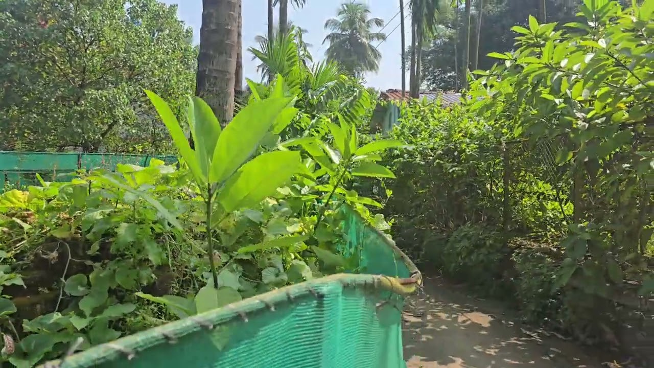 Low Budjet plot for sale 2.5 Gunthe price 25 lakh ,