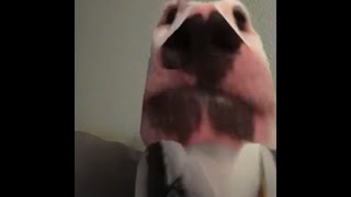 NOOOOOOOOOOOOOOOOOOOOO