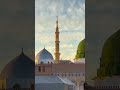 ya Allah Ham sabko madine or karbala ka ziyarat naseeb Karla #viral#foryou#tiktok#islam#india#skardu