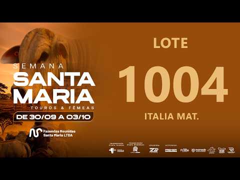 LOTE 1004 RDM  A9829