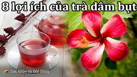 Sức khỏe & Đời sống: 8 lợi ích của trà dâm bụt