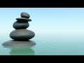 Miniature de la vidéo de la chanson Mindfulness