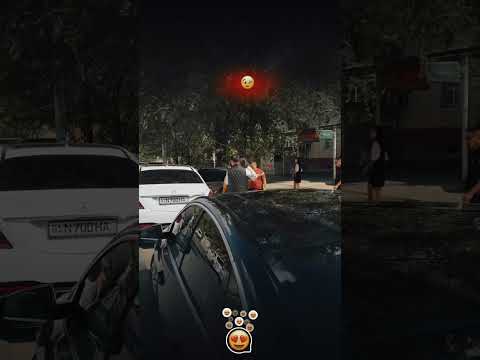 @malibu_kortej_219 Avto zakaz