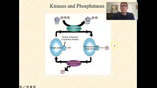 cell communication 6