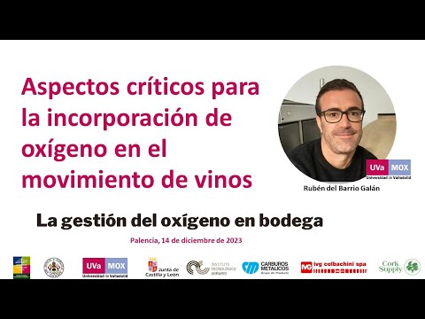 Aspectos críticos para la incorporación de oxígeno en el movimiento de vinos. Rubén del Barrio Galán