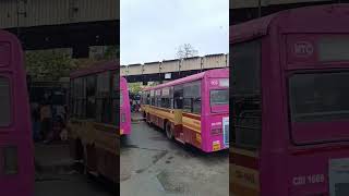 parrys bus stand #viral #trending #shorts #short #shortvideo #subscribe #shortsvideo