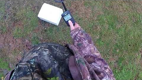 xp Deus 2 testing comparing square tones and pwm tone selection using 5 tones on US nickel