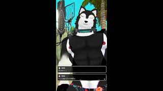 【 #歌枠 】新衣装で歌枠しちゃうゾイ！【 #ケモV 】