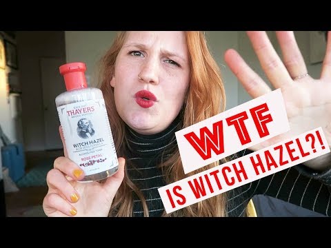 วีดีโอ: Witch Hazel สำหรับสุนัข: ปลอดภัยไหม?