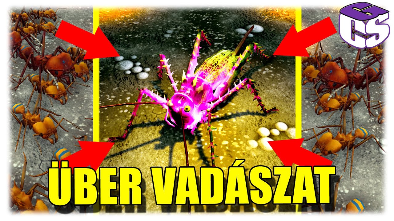 körömféreg és leírásuk
