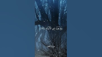 سورة الفجر || وَالْفَجْرِ (1) وَلَيَالٍ عَشْرٍ (2) وَالشَّفْعِ وَالْوَتْرِ (3)