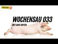 Wochensau 033 - Zensur, Rapbellions und Baerbock