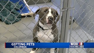 Gifting pets can result in more animals in shelters