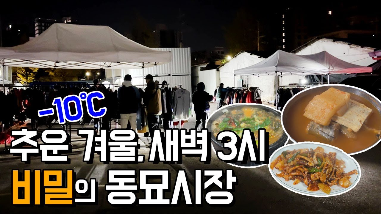 새벽 3시의 동묘는 이런 느낌!?  새벽 시장 쇼핑 후 가성비 노포 맛집에서 술먹방 & 입담 - 오징어볶음 동태탕 제육볶음