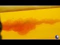 Self-Defense Ammo with Stopping Power | Guns & Gear S10 The following video is brought to you courtesy of the Gun Talk Media YouTube Channel. Click the link below to watch it now!