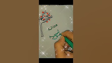 Nida🌷 name easy sign...#foryou #explore #shortsfeed...