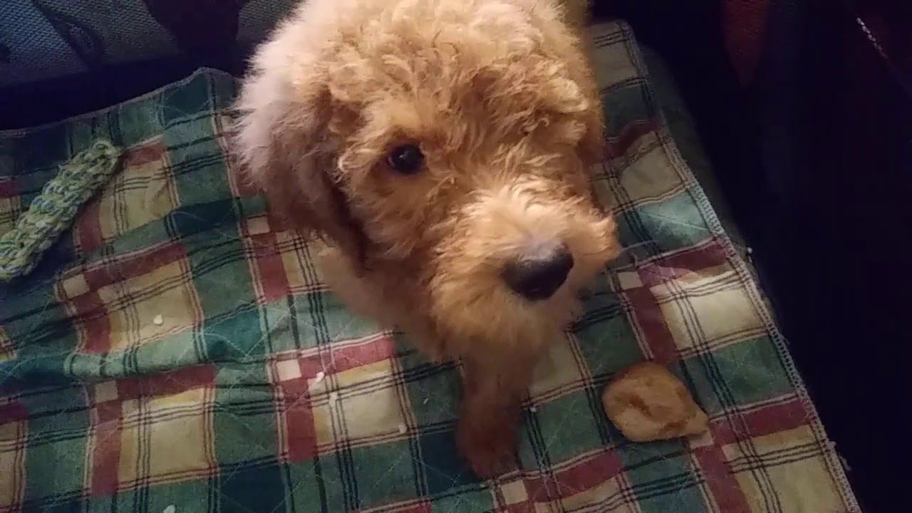 Happy Doodle - YouTube