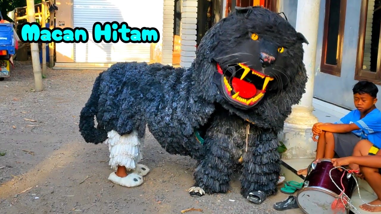 Wildan NgeVlog Main BARONGAN Macan kumbang