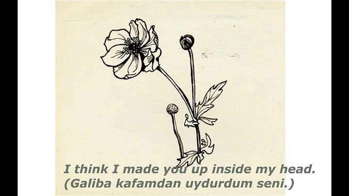 Sylvia Plath - Mad Girl's Love Song (Trke eviri)