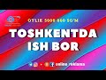 TOSHKENTDA ISH BOR. TASHKENT CITY BO'SH ISH O'RINLARI | ONLINE REKLAMA