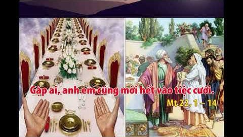 Suy Niệm Thứ Năm Tuần 20 Thường Niên