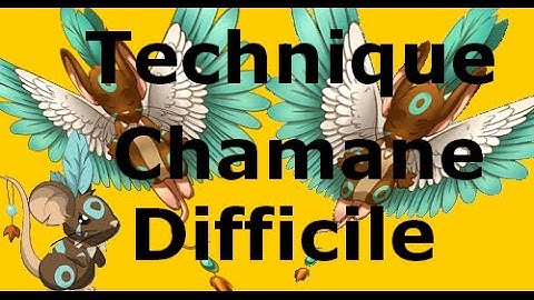 Transformice Technique Chamane Difficile