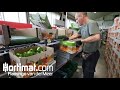 Full pepper sorting and harvest/unloading system with palletizers