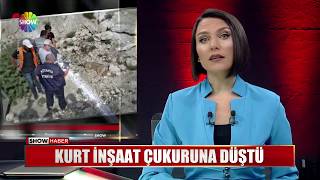 Kurt inşaat çukuruna düştü
