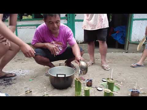 Building a permaculture based system in Mts Iglit-Baco Natural Park - rainy season - New Video!