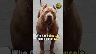 3 Dog Breeds With Unstoppable Power