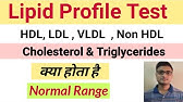 High Triglycerides In Hindi Triglycerides क न र मल र ज क य ह त ह क य ख ए और क य न ख ए Youtube