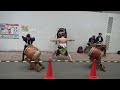 大山ハッピーロド商店街 盛り上げ 祝い太鼓 竜鳴太鼓 玄武