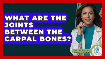 What Are The Joints Between The Carpal Bones? - Orthopedic Support Network