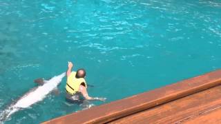 Man Swims With Dolphin and Loses Swim Trunks