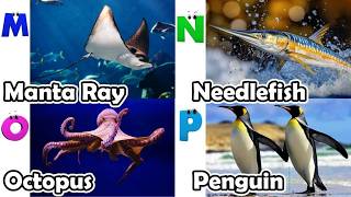 ABC Sea Animal Sounds 72TH3 | Nursery Rhyme for Kids | Koko Study Class