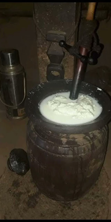 Theki traditional Churning butter making curd #organic #fresh#home #motivational#shortfeed#