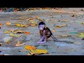 Baby Monkey Cute Moments You Will Love, Adorable Wildlife