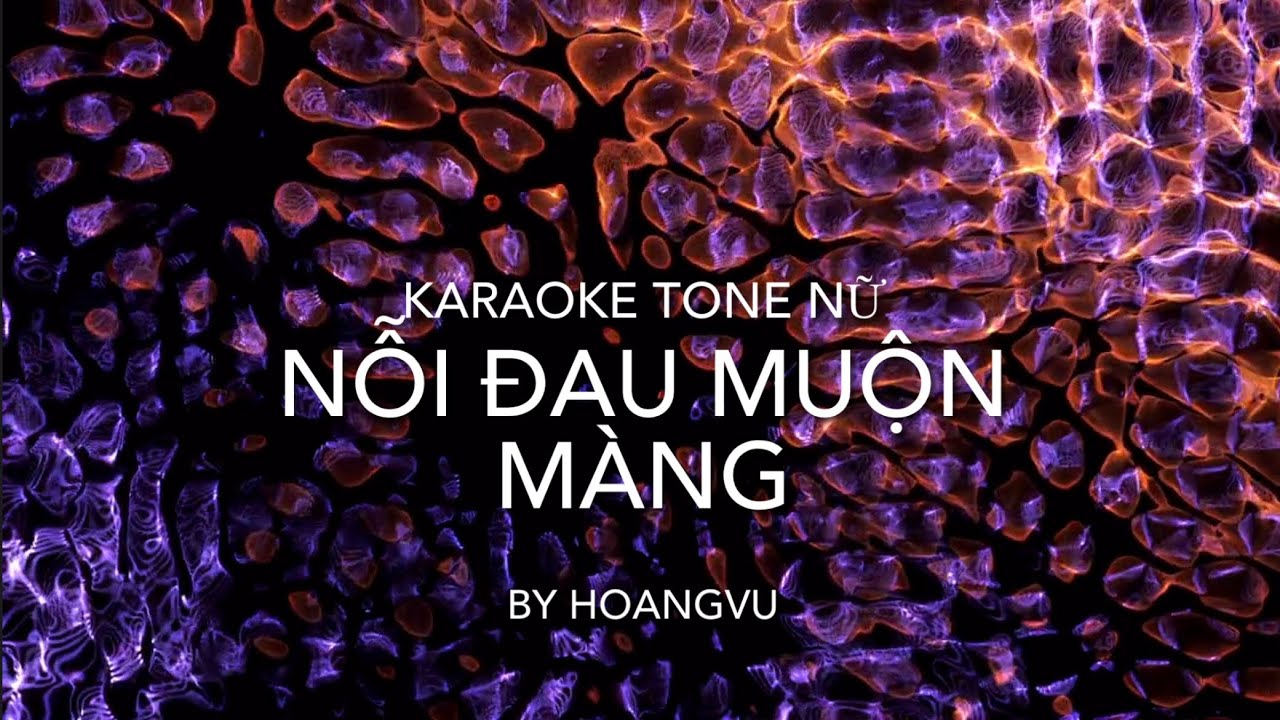 Nỗi Đau Muộn Màng - Ngô Thụy Miên - Karaoke Tone Nữ - By Hoangvu 