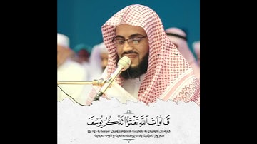 سورة یوسف قارئ رعد الكردي