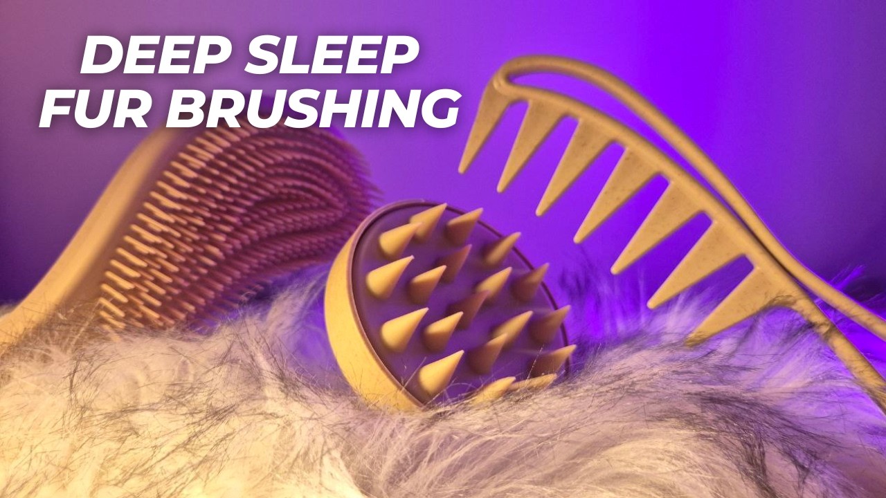 Deep Sleep Fur Brushing ASMR (No Talking)