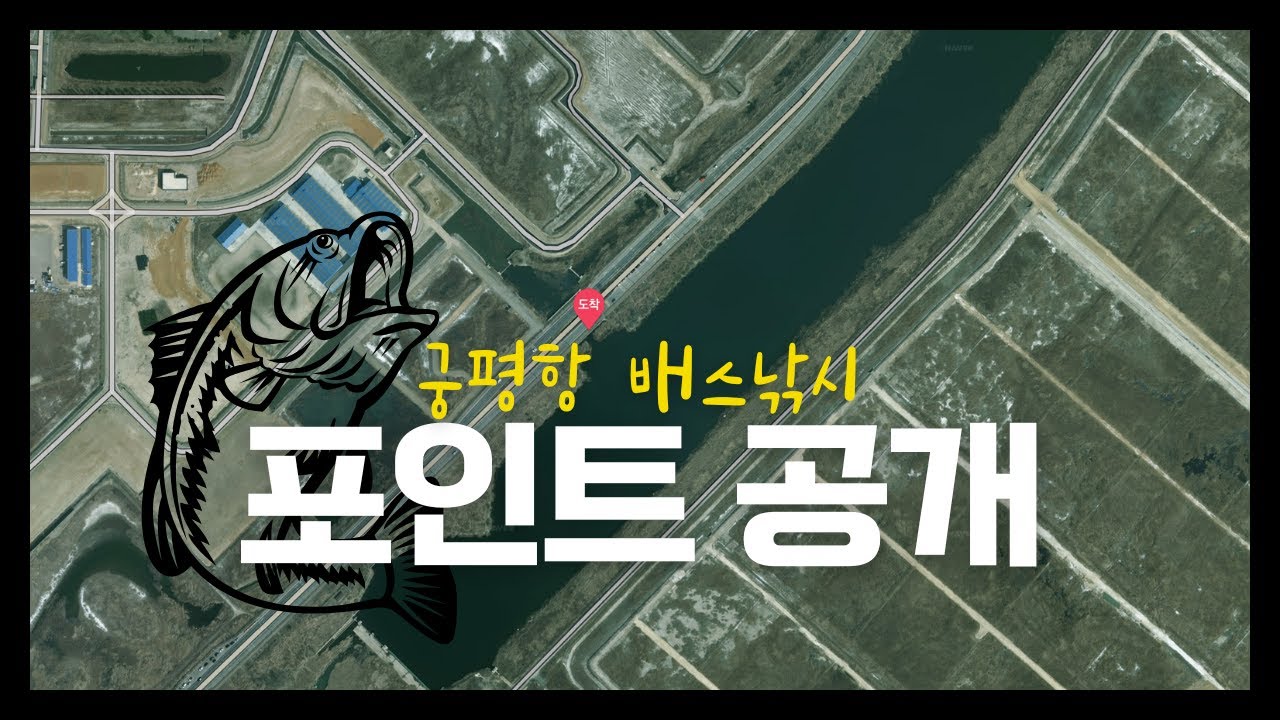 궁평항 근처 배스 낚시 포인트 궁금하신 분? 여기서 배스 낚시가 되나?
