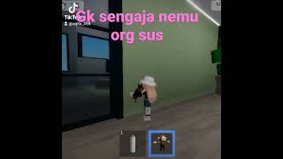 gk sengaja nemu orang yg mau sus di Roblox brookhefen 😱 screenshot 4